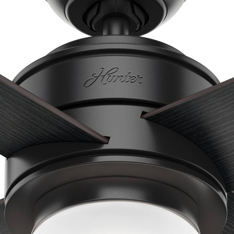 Hunter 52" Hepburn Ceiling Fan with LED Light Kit and Wall Control - Vintage, Mid-Century Modern, Transitional