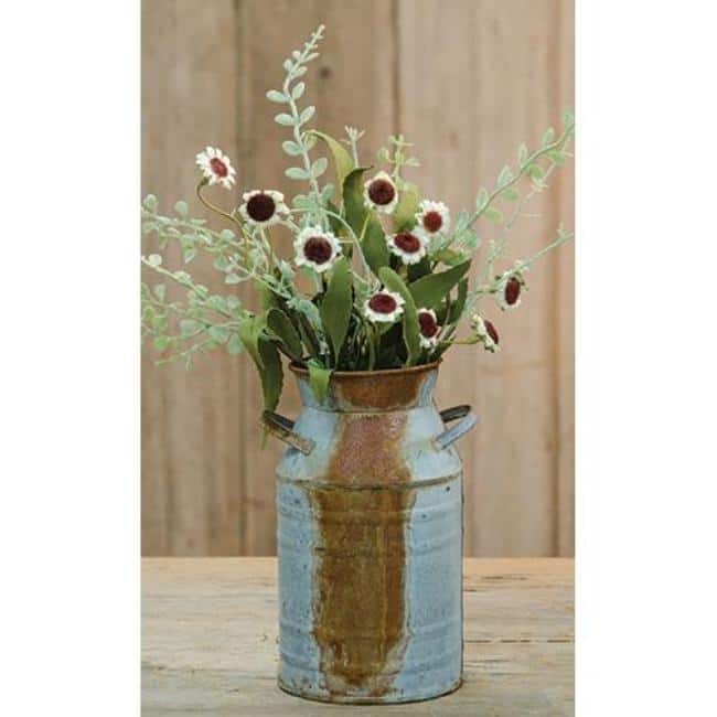 Bird's Eye Daisy Bush, Cream, 18"