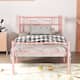 Option Pink