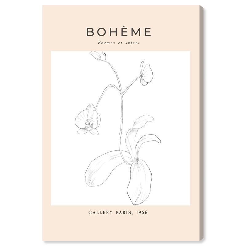Wynwood Studio Canvas Floral and Botanical Boheme Orchid White and Modern & Contemporary Wall Art Canvas Print - White, Black