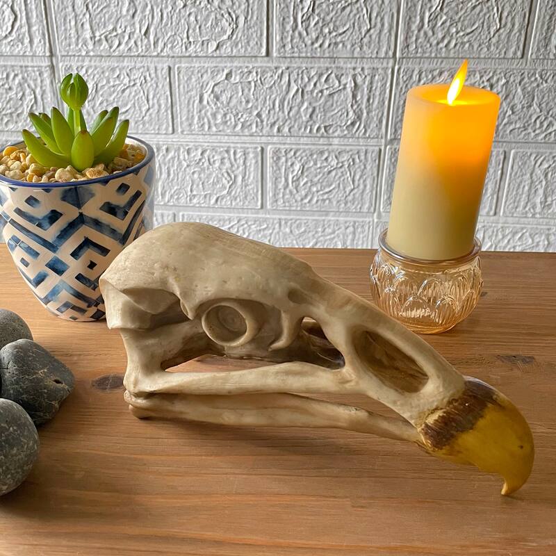 Replica California Condor Skull Realistic Endangered Species Decor - 4 X 8 X 2.5 inches