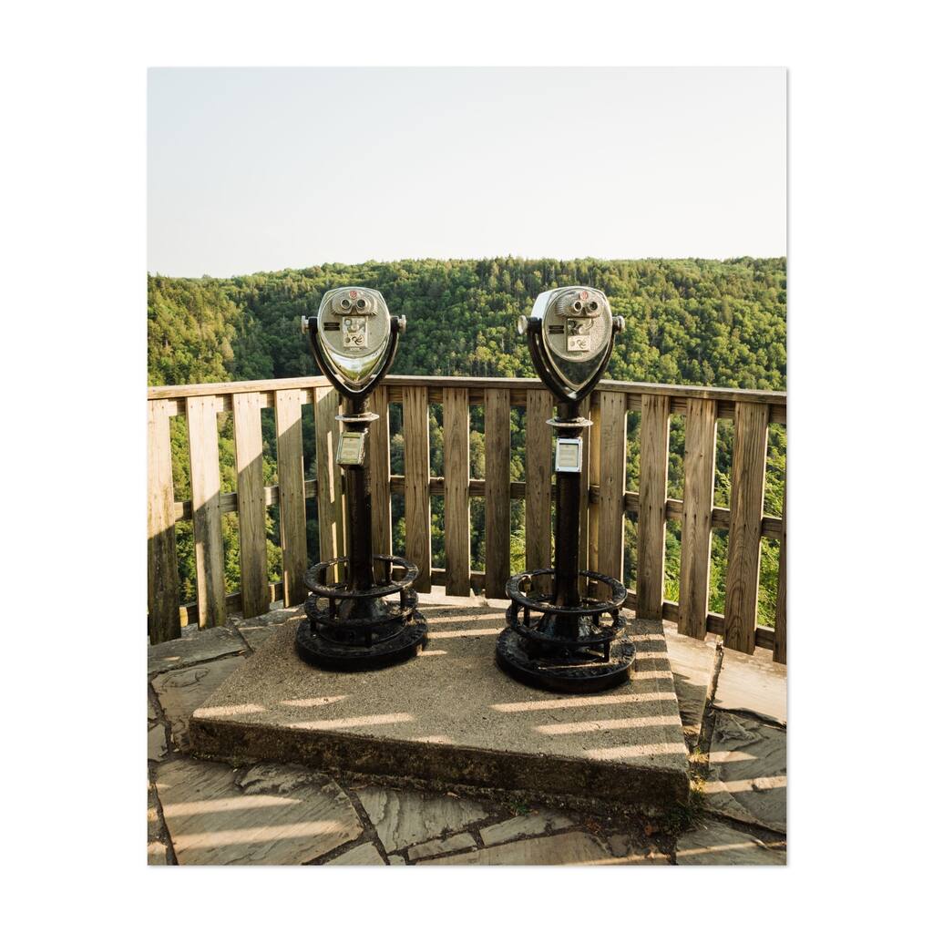 Blackwater Falls State Park Davis West Virginia Art Print/Poster