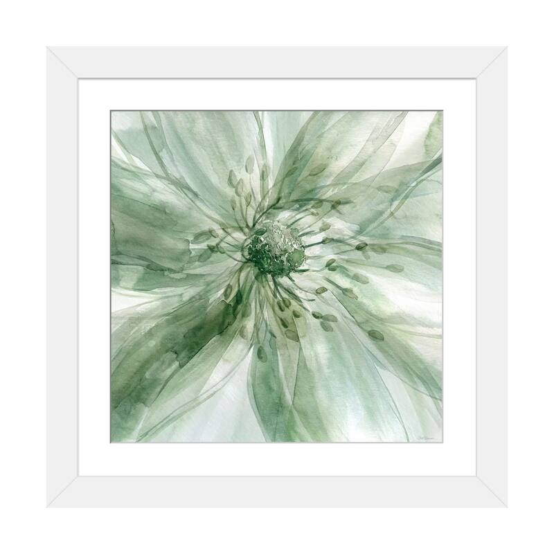 iCanvas "Macro Sage Flower I" by Carol Robinson - White - 16x16x1