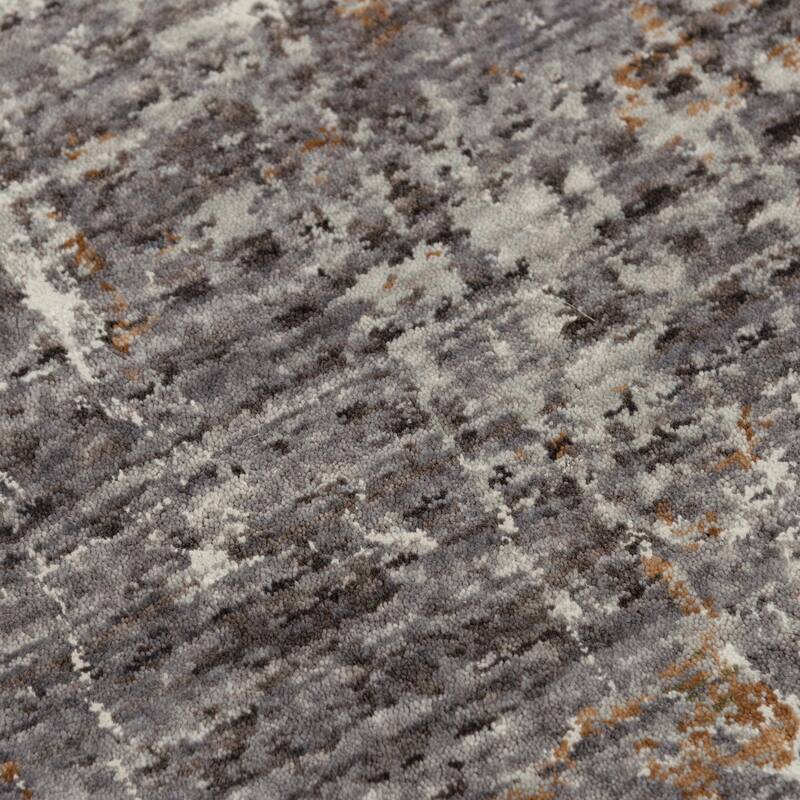 Alora Decor Cara Transitional Gray Recycled Polyester Area Rug