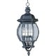 preview thumbnail 1 of 1, Maxim Crown Hill 26" Tall 4 Light Outdoor Lantern Pendant