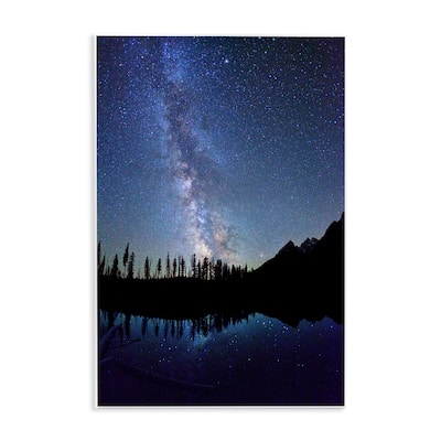Stupell Nebula Reflection in Lake Wall Plaque Art Design By Royce Bair