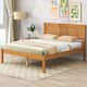 Option Oak