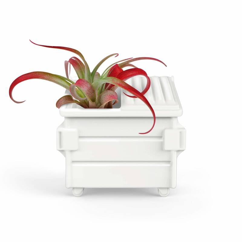 Fred Fancy Plants Dumpster Shaped Air Plant Holder - White - 3.5" x 2.75"