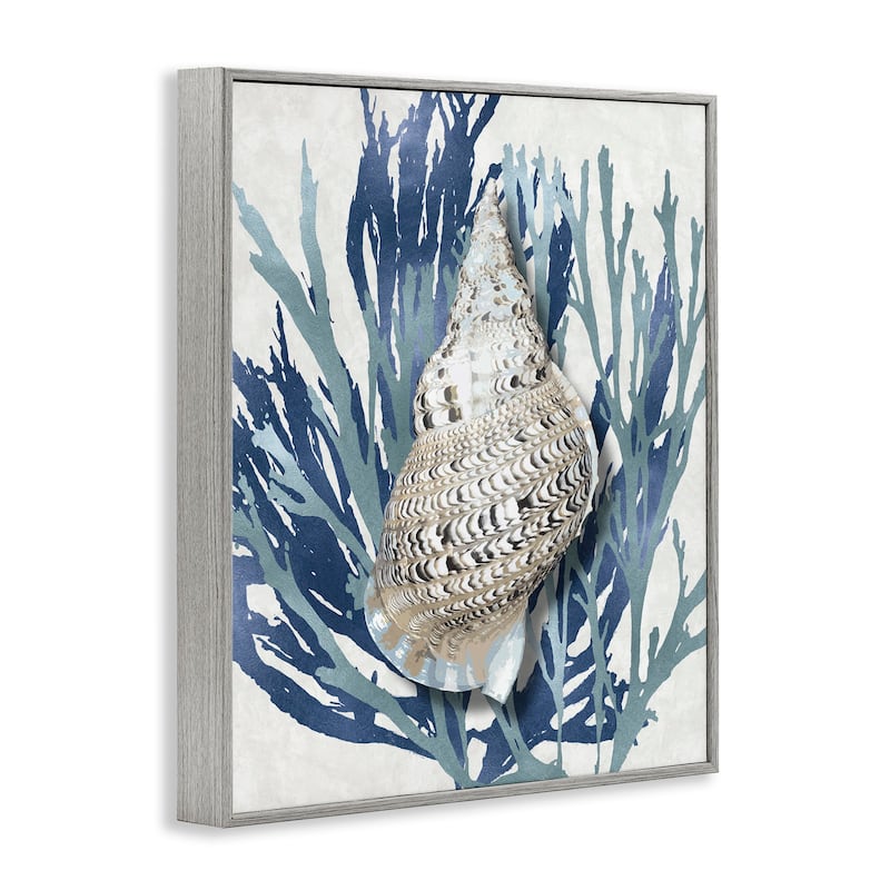 Stupell Shell Coral Blue Beach Design Framed Wall Art