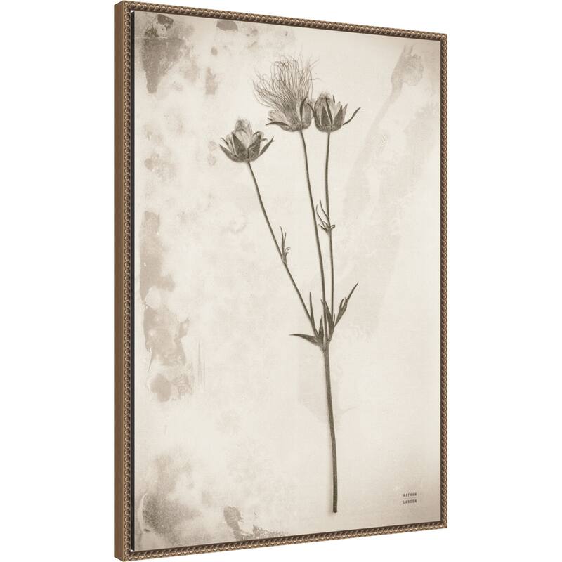 Wildflower Journal Vintage No. 8 by Nathan Larson Framed Canvas Wall Art Print