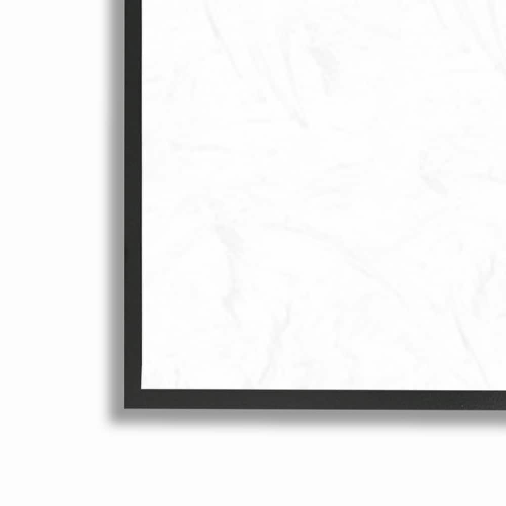 Stupell Oyster Marine Life Anatomy Facts Educational Diagram Framed