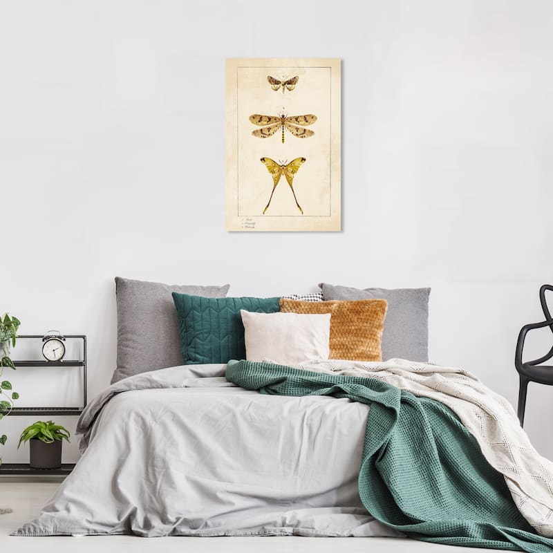 Wynwood Studio Canvas Animals Three Vintage Winged Insects Gold and Mid-Century Modern Wall Art Canvas Print - Gold, Yellow - 24 x 16