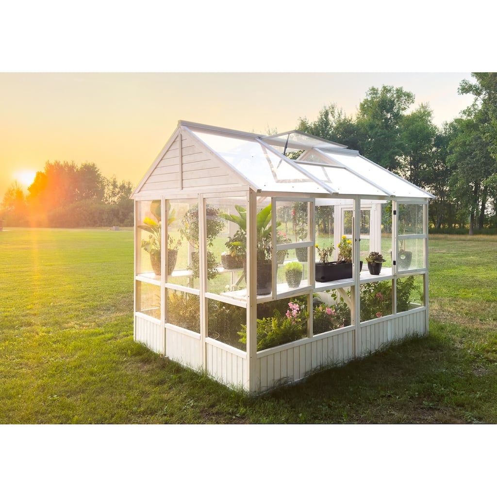 Zylina XL Hobby Greenhouse - 103 x 78 x 89