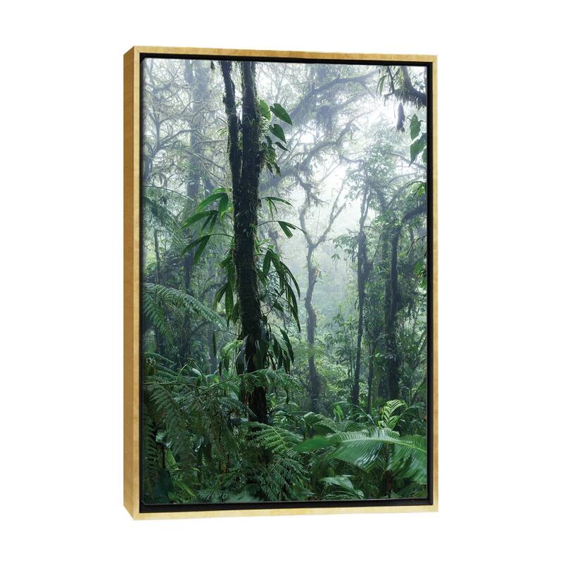 iCanvas "Monteverde Cloud Forest, Costa Rica" by Matteo Colombo Framed Canvas Print - Gold - 26x18