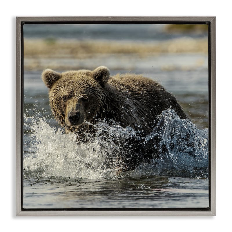 Stupell Bear Splashing in River Framed Floater Canvas Wall Art Design By Danita Delimont - 25 x 25 - Grey
