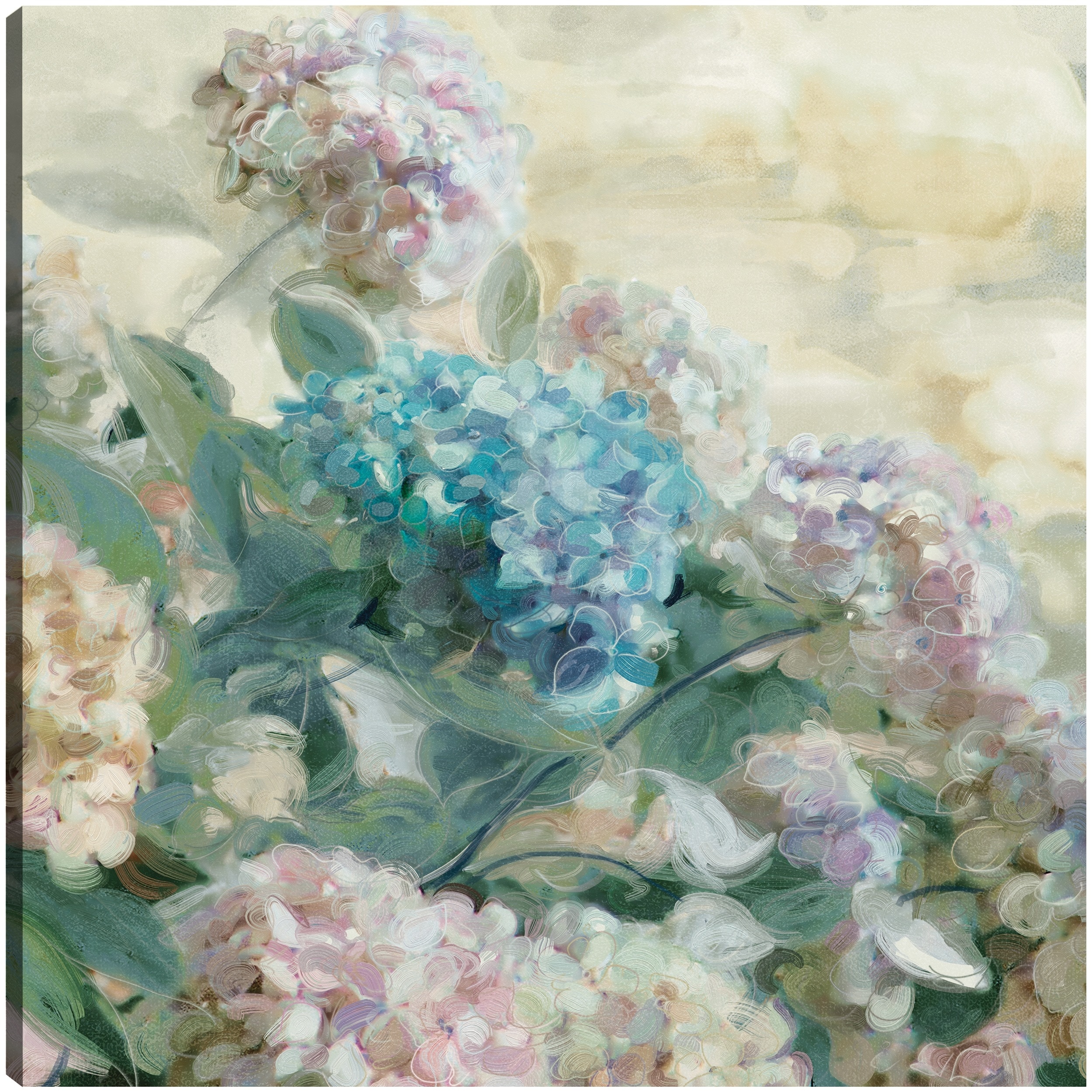 Hydrangeas By Studio Arts Canvas Art Print