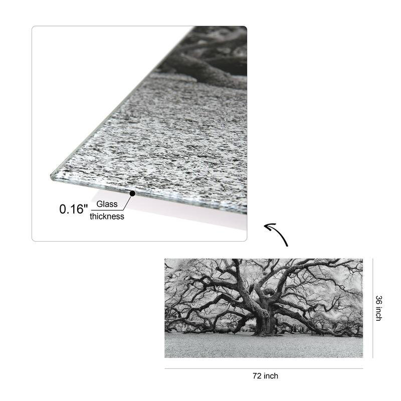 "The Angel Oak" Frameless Free Floating Tempered Art Glass Wall Art by EAD Art Coop