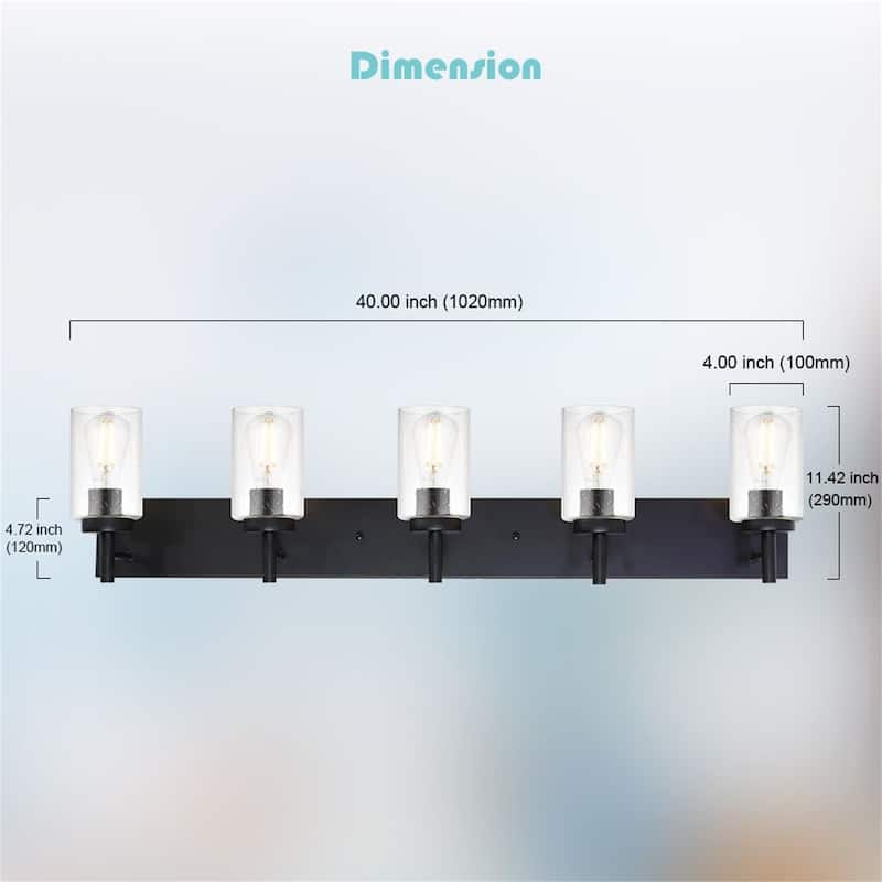 5-Light Black Vanity Light with Seeded Glass Shades