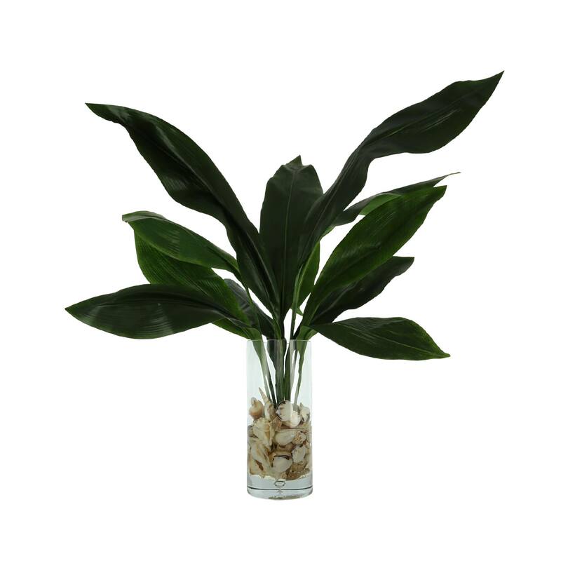 Aspidistra Leaf Arrangement in a Bubble Glass Vase with Shells - Green
