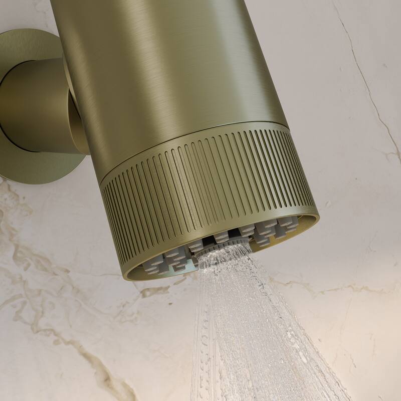 Lumiere 2-Spray Patterns 2.5 Gpm Wall Mount Fixed Shower Head In Brushed Gold