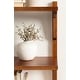 preview thumbnail 68 of 81, Kate and Laurel Meridien Mid-Century Wall Shelves