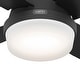 preview thumbnail 8 of 22, Hunter 52" Dempsey Flush Mount Ceiling Fan w/ LED Light Kit, Handheld Remote - Contemporary, Transitional - Low Profile