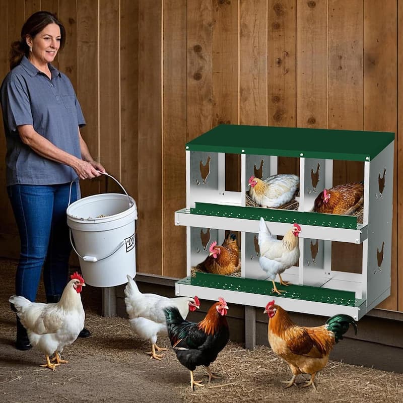 Wall-Mount or Free-Standing Metal Chicken Nesting Box for Hens, Green