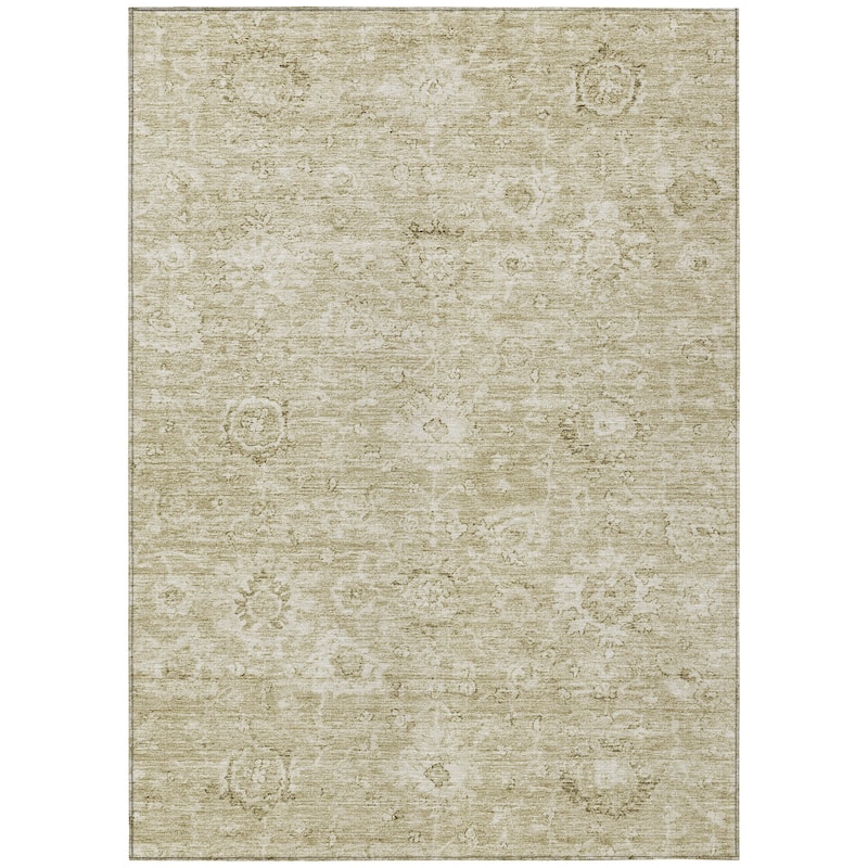 Machine Washable Indoor/ Outdoor Vintage Traditional Chantille Rug