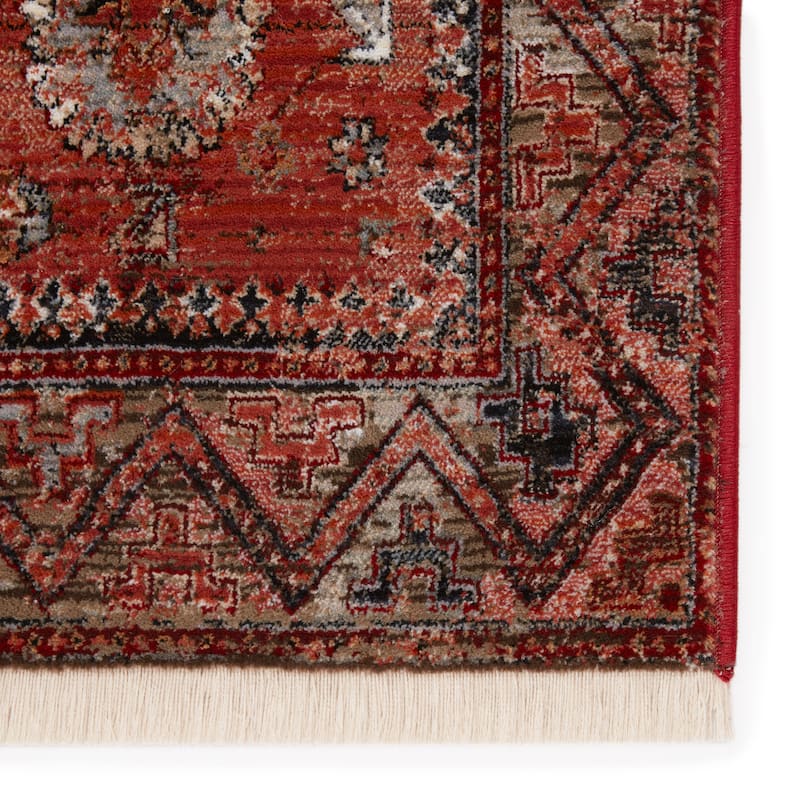 Razia Medallion Area Rug