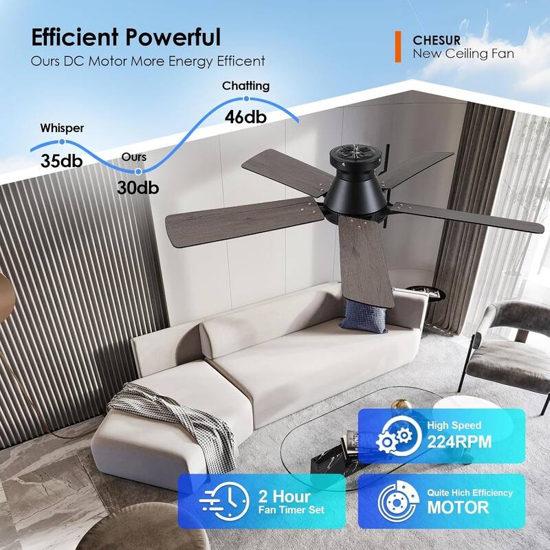 52 Inch Ceiling Fan with Light and Remote,Flush Mount Ceiling Fan,5 Dual Side Blades - 52 Inches