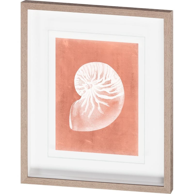 Sealife on Coral V Framed Art Print