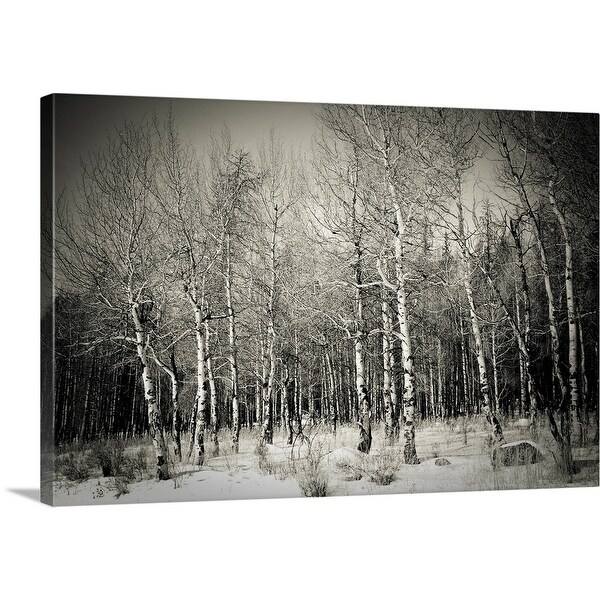 "Rockies" Canvas Wall Art
