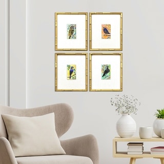 Paragon Sassy Birds Framed Art - Set of 4