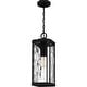 preview thumbnail 4 of 5, Balchier 1-Light Outdoor Hanging Lantern in Matte Black
