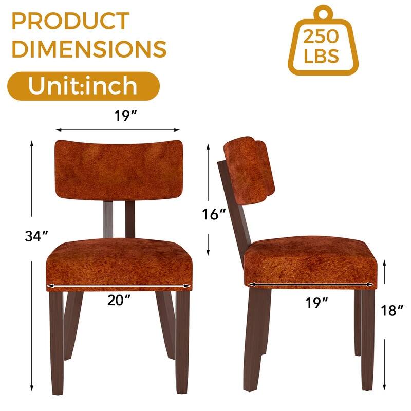 Mid-century Fabric Upholstered Dining Chairs in Dark Brown Legs, Set of 2