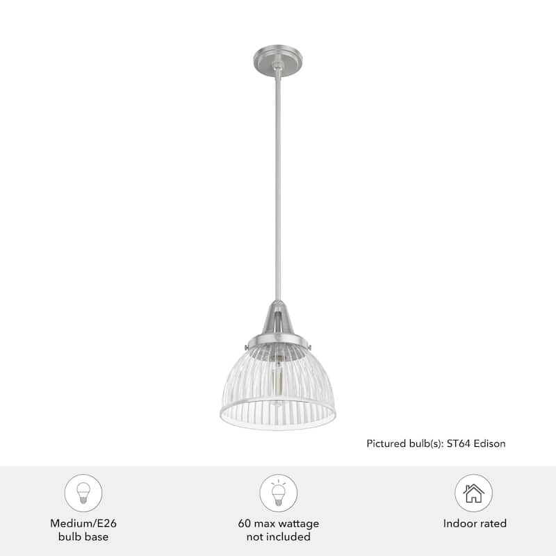 Hunter Cypress Grove 10" 1-Light Pendant - Island, Dining Room - Industrial, Transitional, Contemporary