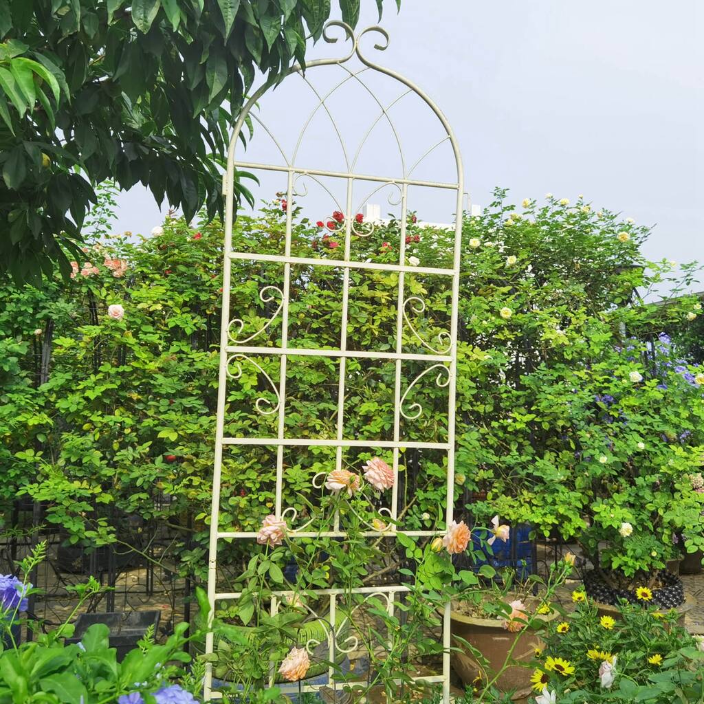 2 Pack Metal Garden Trellis