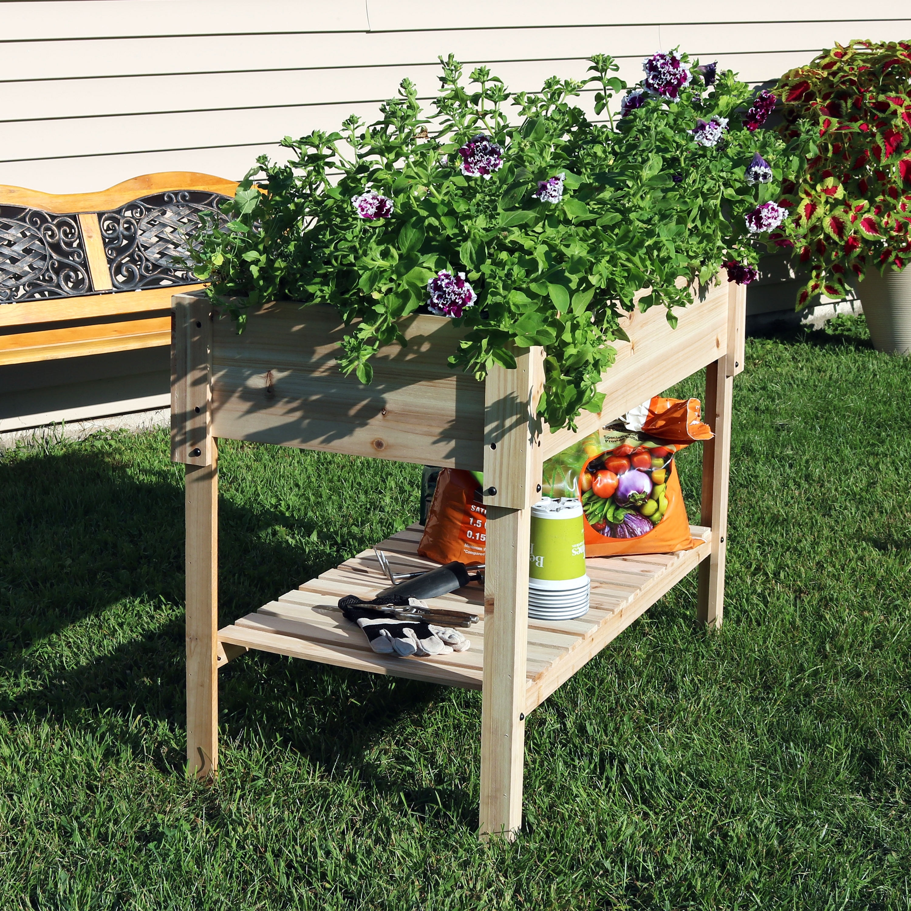 Shop Sunnydaze Raised Wooden Garden Flower Bed Patio Planter Box