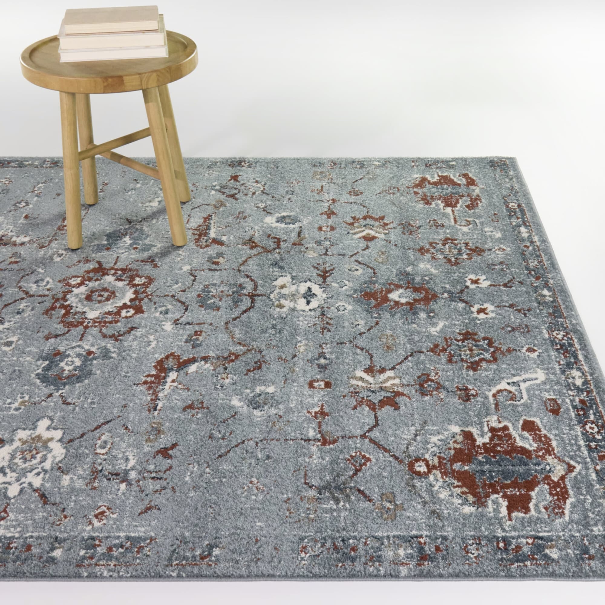 Thaddeus Distressed Medallion Area Rug