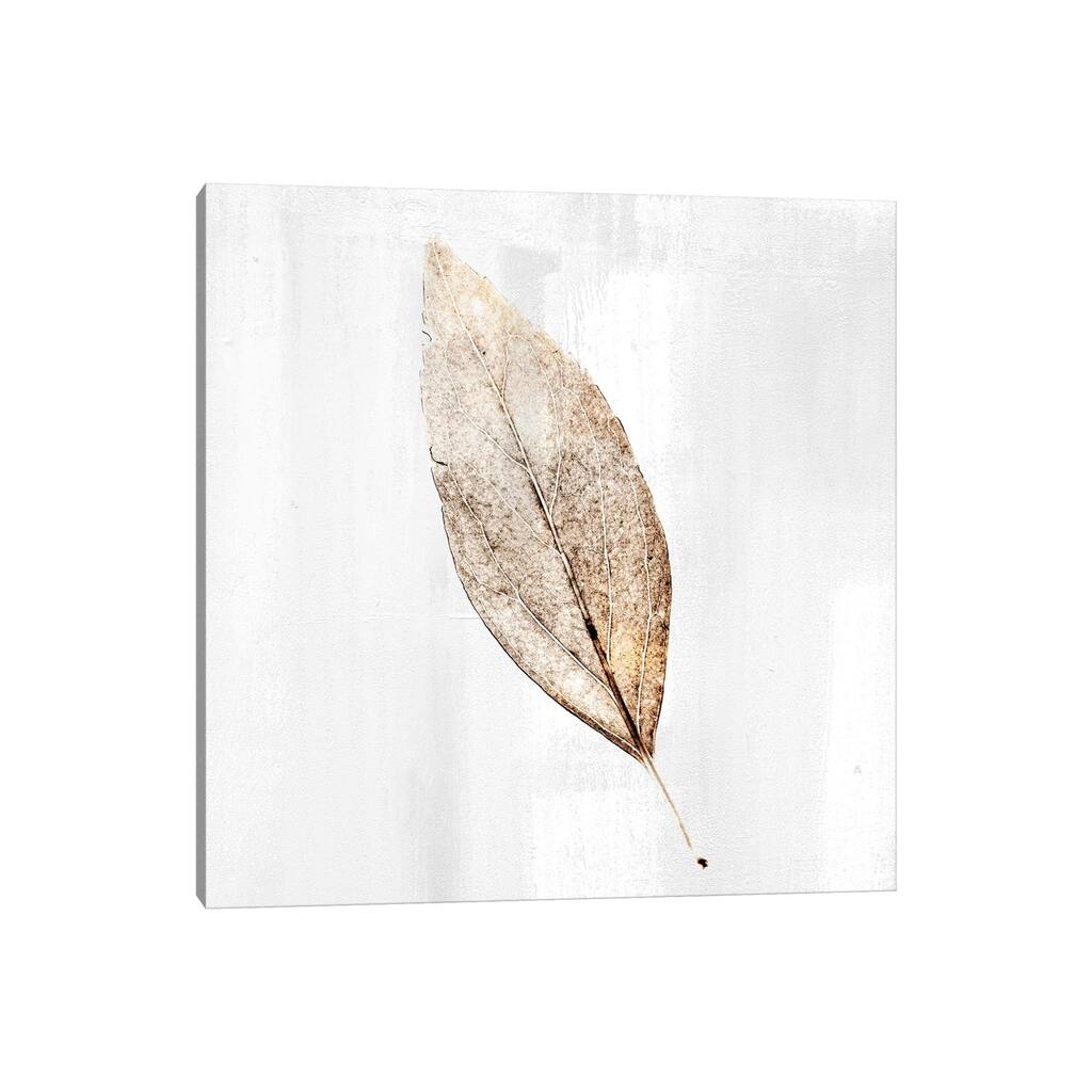 iCanvas "Golden Leaf I" by Kimberly Allen Canvas Print