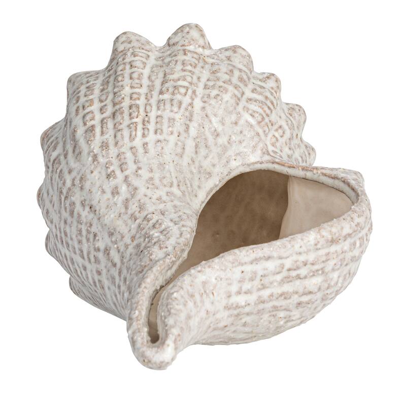 Stoneware Conch Shell Accent Décor - 10.4"L x 5.9"W x 5.1"H