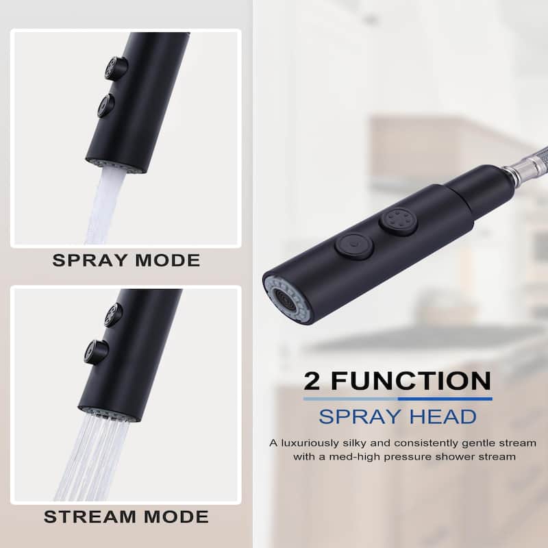 WOWOW Single Handle Pull Down Sprayer Kitchen Faucet