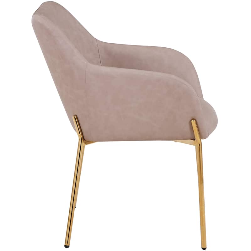 Zaire Upholstered Dining Chair in Velvet/Leather/Boucle with Gold Chrome Iron