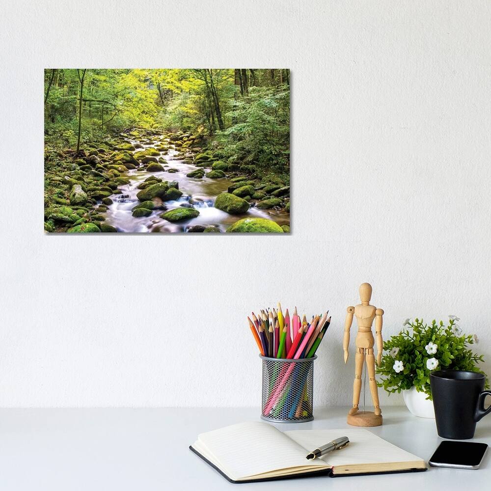 iCanvas "Creek Running Through Roaring Fork In Smoky Mountains" by Susan Schmitz Canvas Print