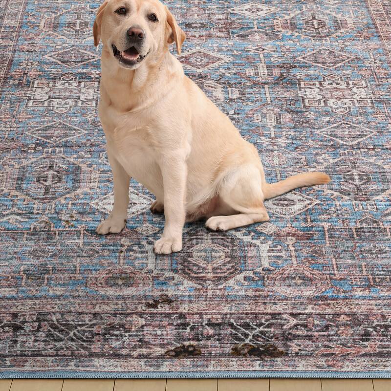 Everwash Callaghan Eve Southwestern Medallion Machine Washable Area Rug