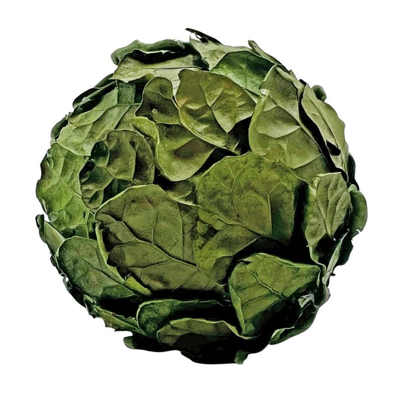 Handmade Preserved Topiary Balls, Set of 9 Decorative Floral Orbs - 4 inch