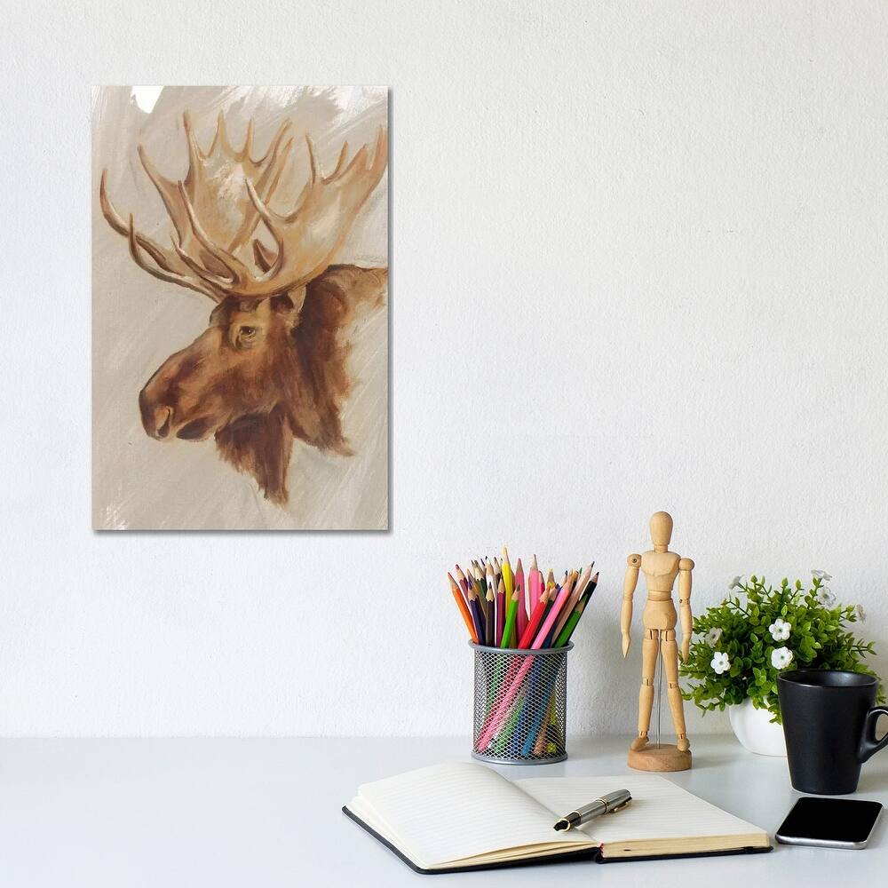 iCanvas "Western American Animal Study II" by Ethan Harper Canvas Print