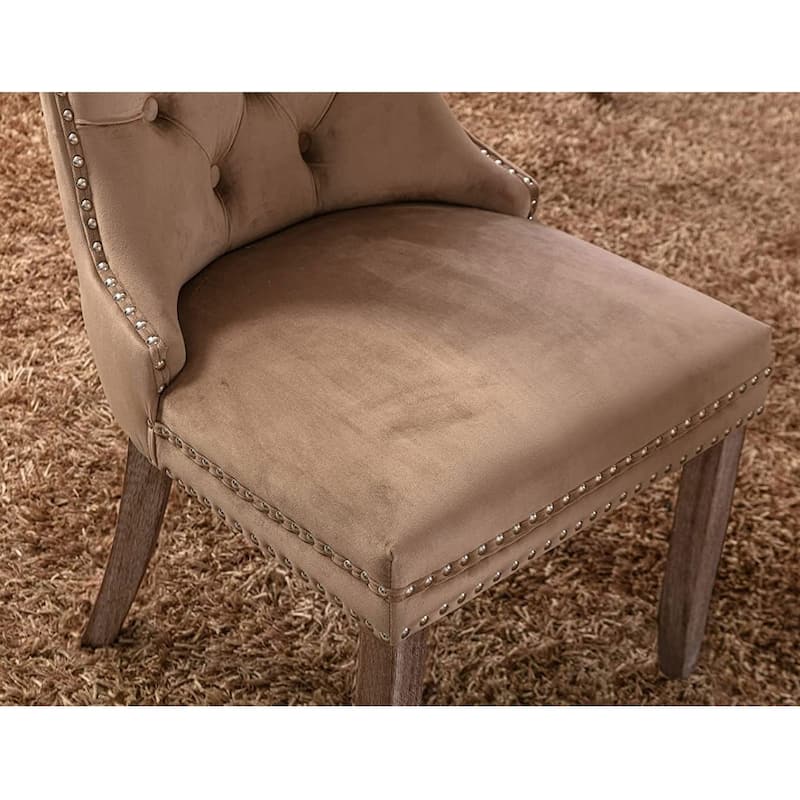 Velvet Dining Chairs Set of 2, Accent Diner Chairs Upholstered Fabric Living Room Chairs Side Chair Stylish Kitchen Chairs