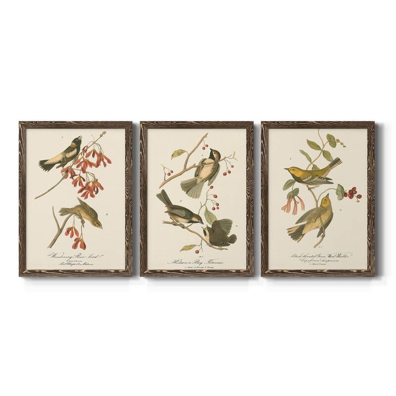 Wandering Rice Bird-Premium Framed Canvas - Ready to Hang - Multi-Color - 17X20 - Walnut