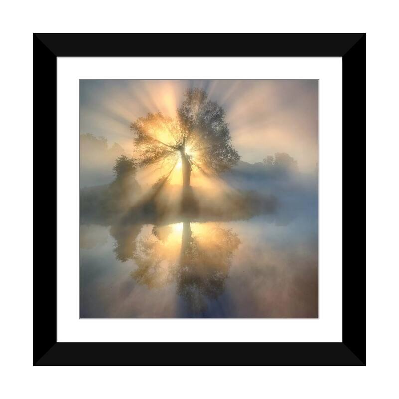 iCanvas "Tree of light" by keller - Black - 24x24x1